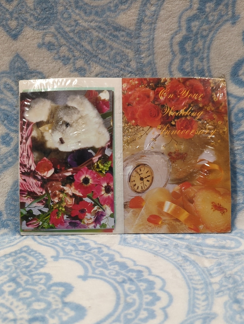 Greeting Card & Post Card Pack